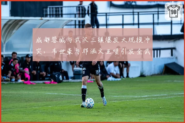 成都蓉城与武汉三镇爆发大规模冲突，韦世豪与邓涵文互喷引发全武行