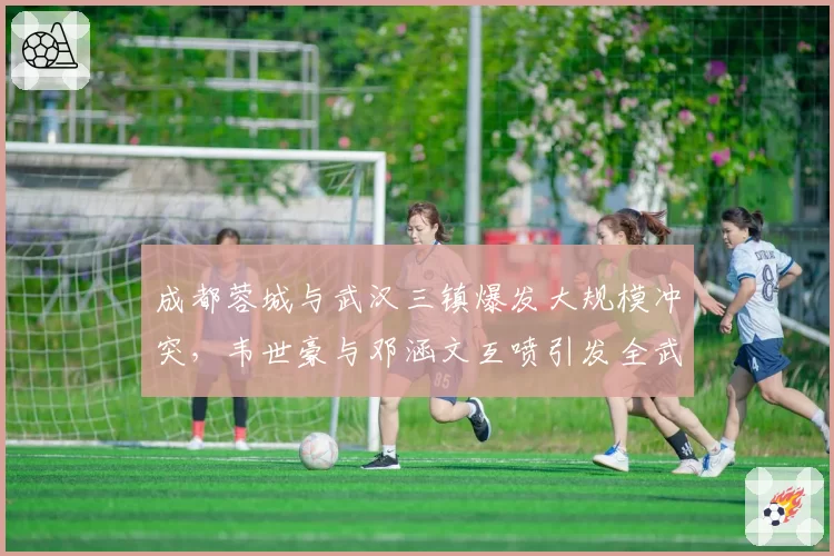 成都蓉城与武汉三镇爆发大规模冲突，韦世豪与邓涵文互喷引发全武行
